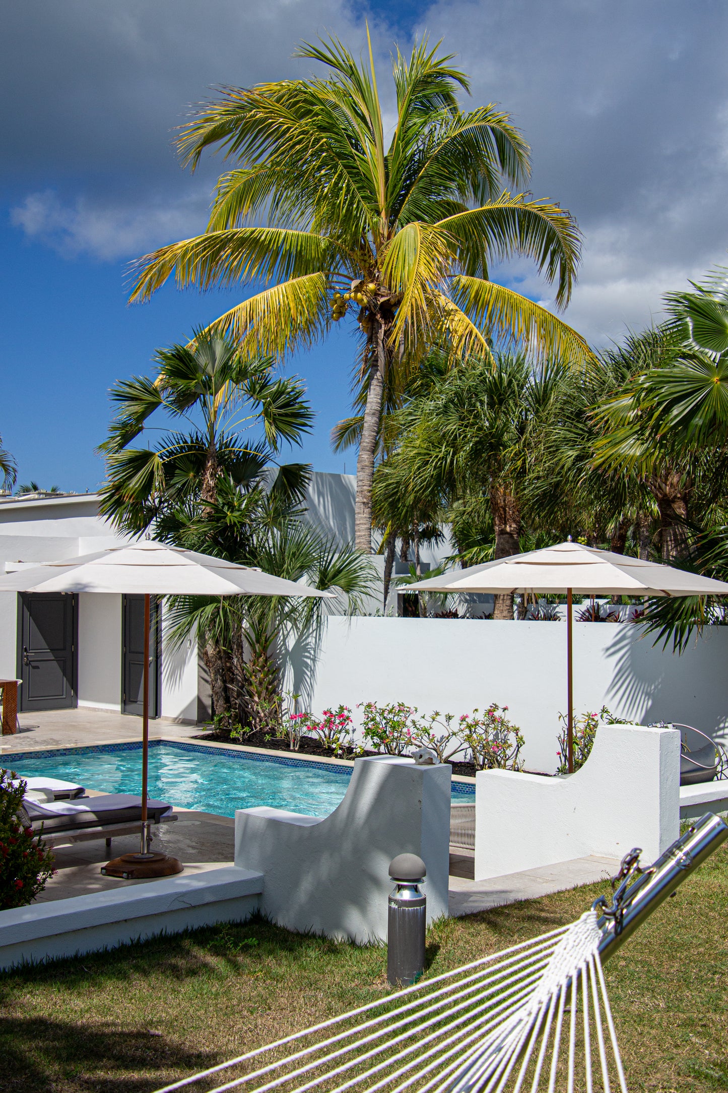 In this idyllic scene, a tranquil poolside setting is framed by lush palm trees swaying gently in...