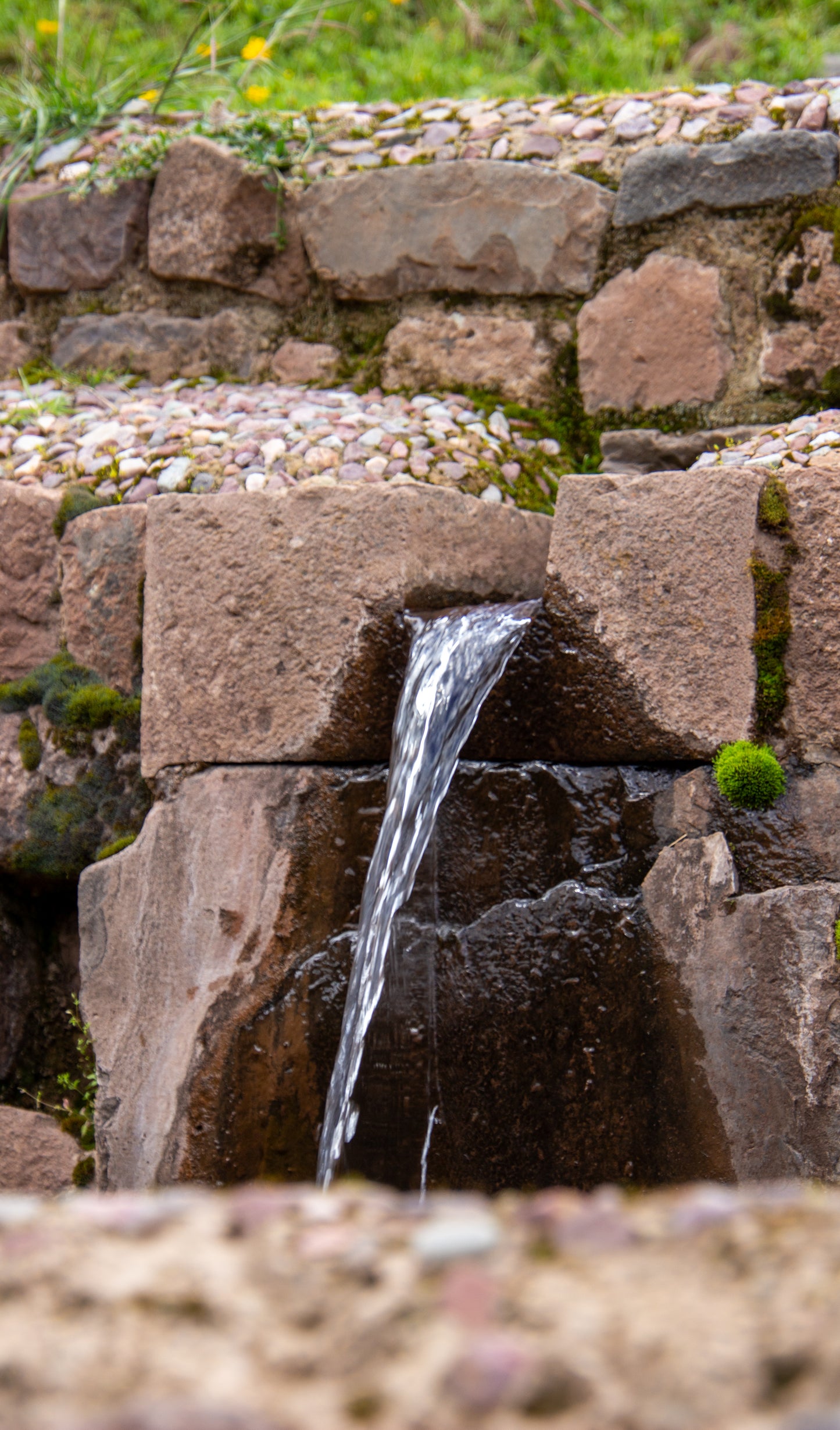 A small yet captivating stream of water flows gently from a stone crevice, framed by the ancient...
