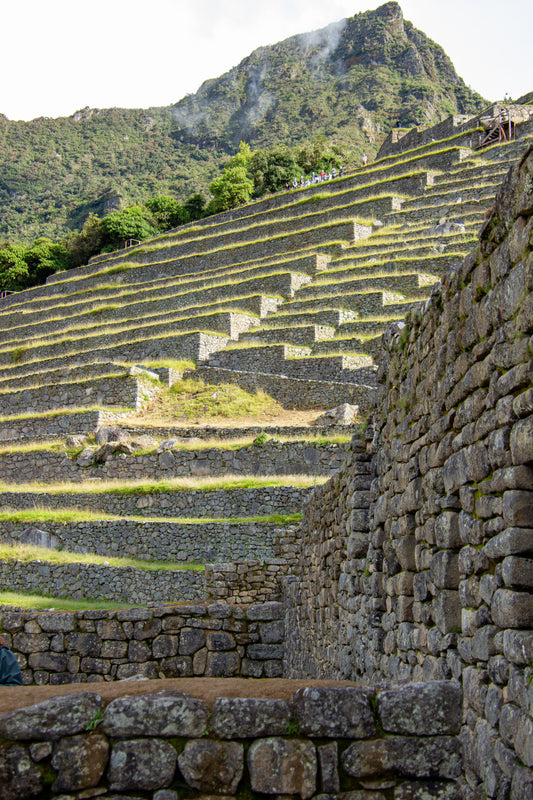 The cascading stone terraces of Machu Picchu unfold like a natural amphitheater against the lush...
