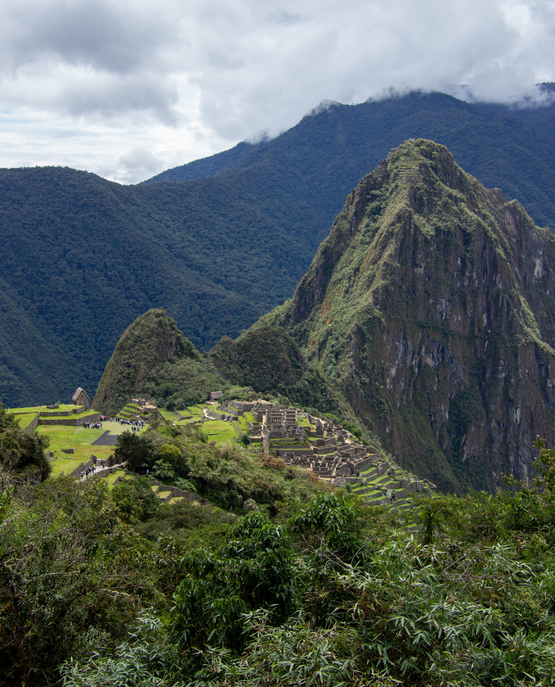 Nestled amidst the towering Andes, the ruins of Machu Picchu emerge like a lost city of dreams,...