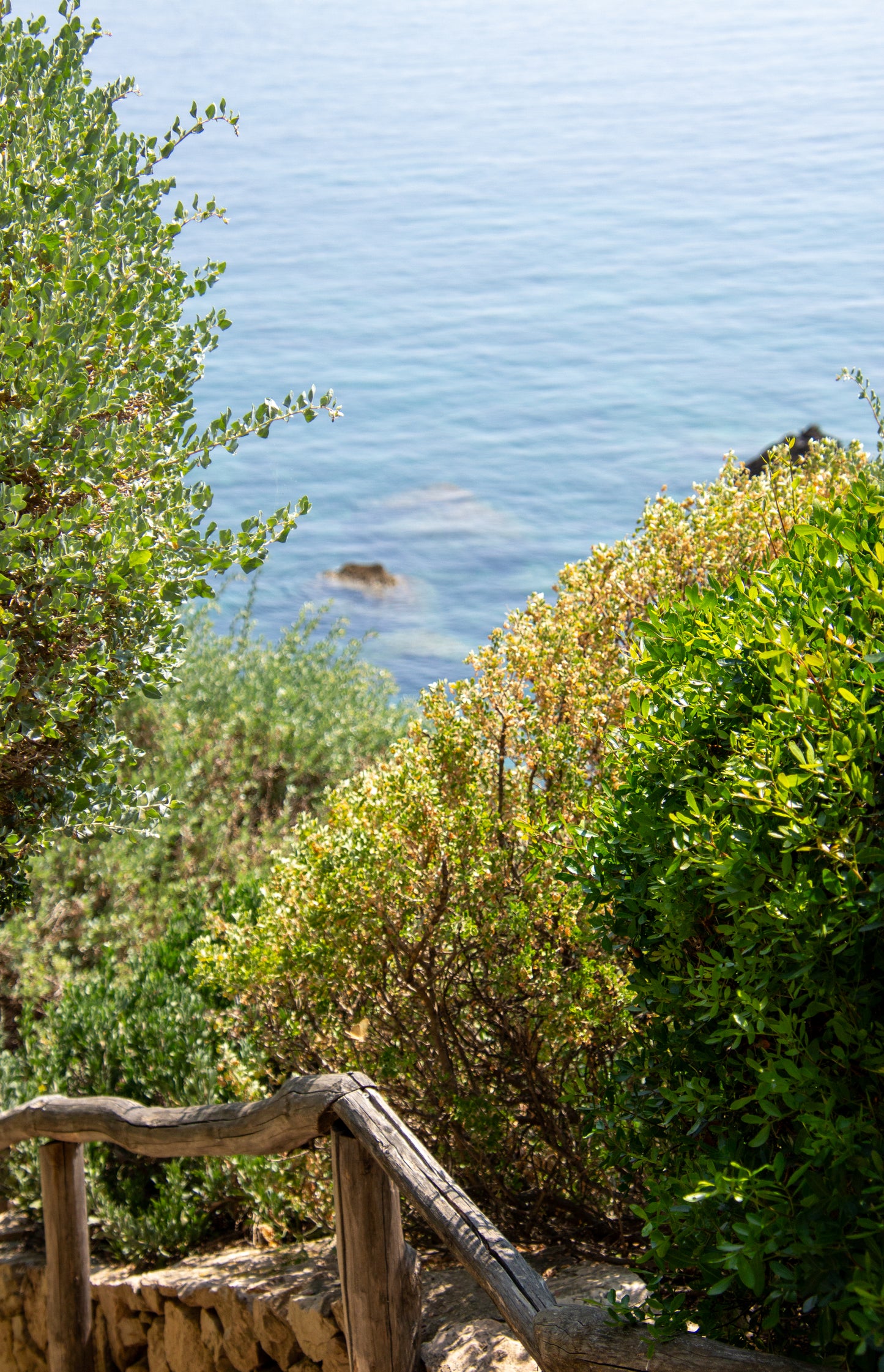 A rustic wooden railing guides the eye down a sun-dappled pathway, flanked by lush greenery that...