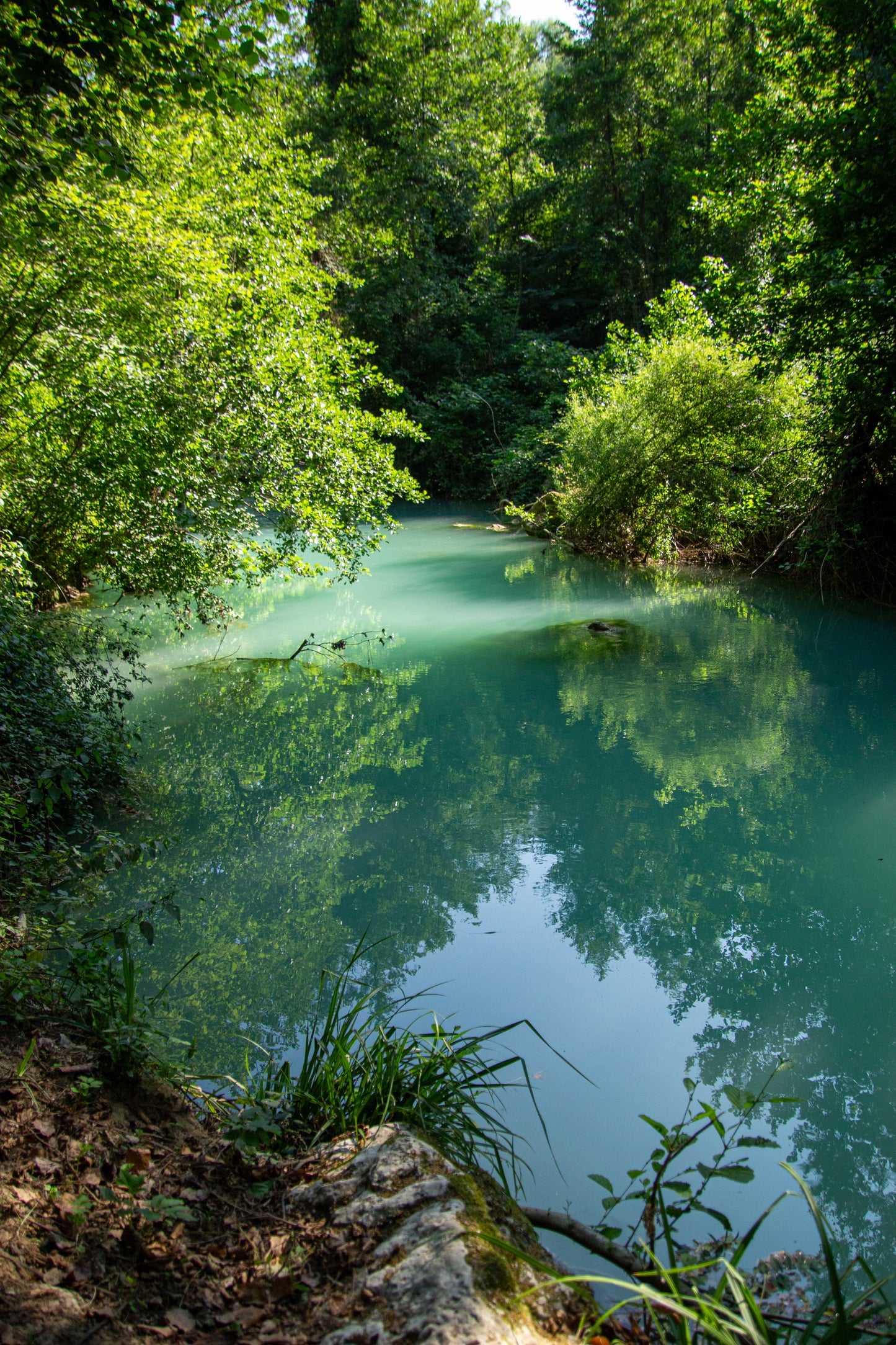 In the heart of Italy, a tranquil stream meanders through lush greenery, its turquoise waters...