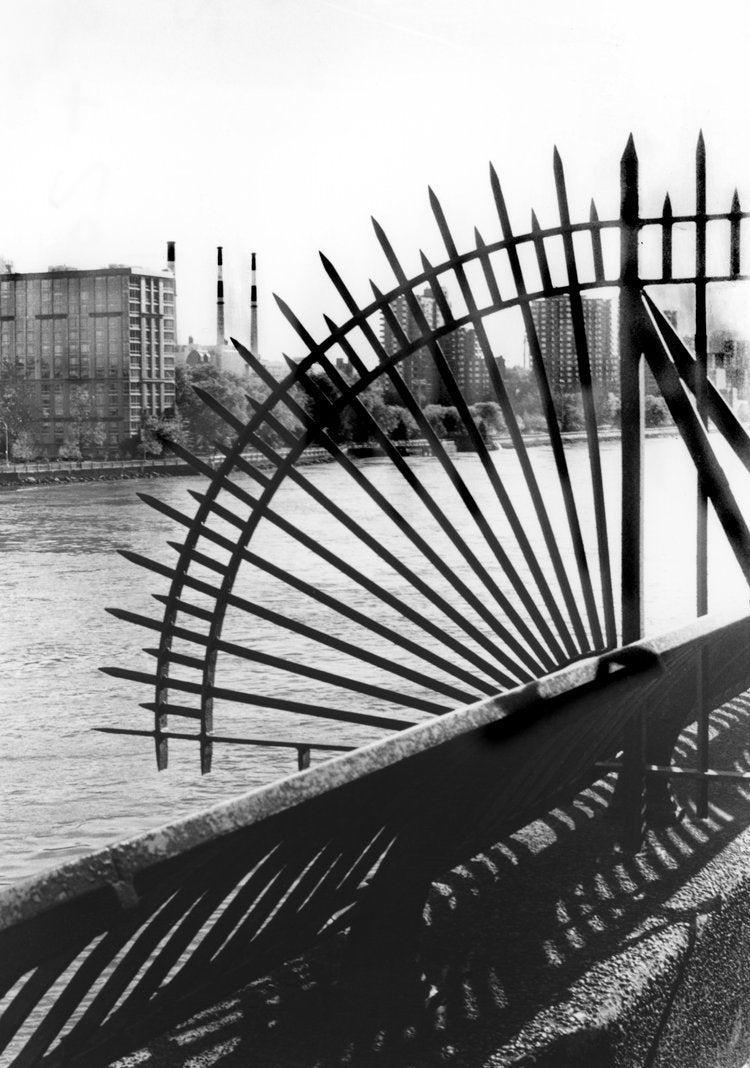 Sharp, iron railings fan out like rays of the sun, casting intricate shadows on the pavement beside...